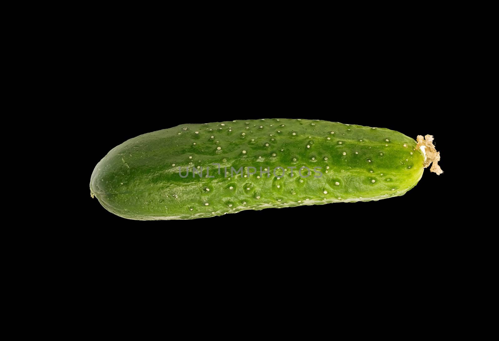  cucumber insulated on black background