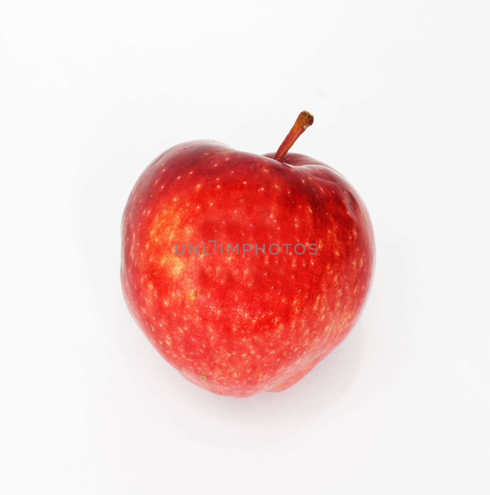 Red apple 