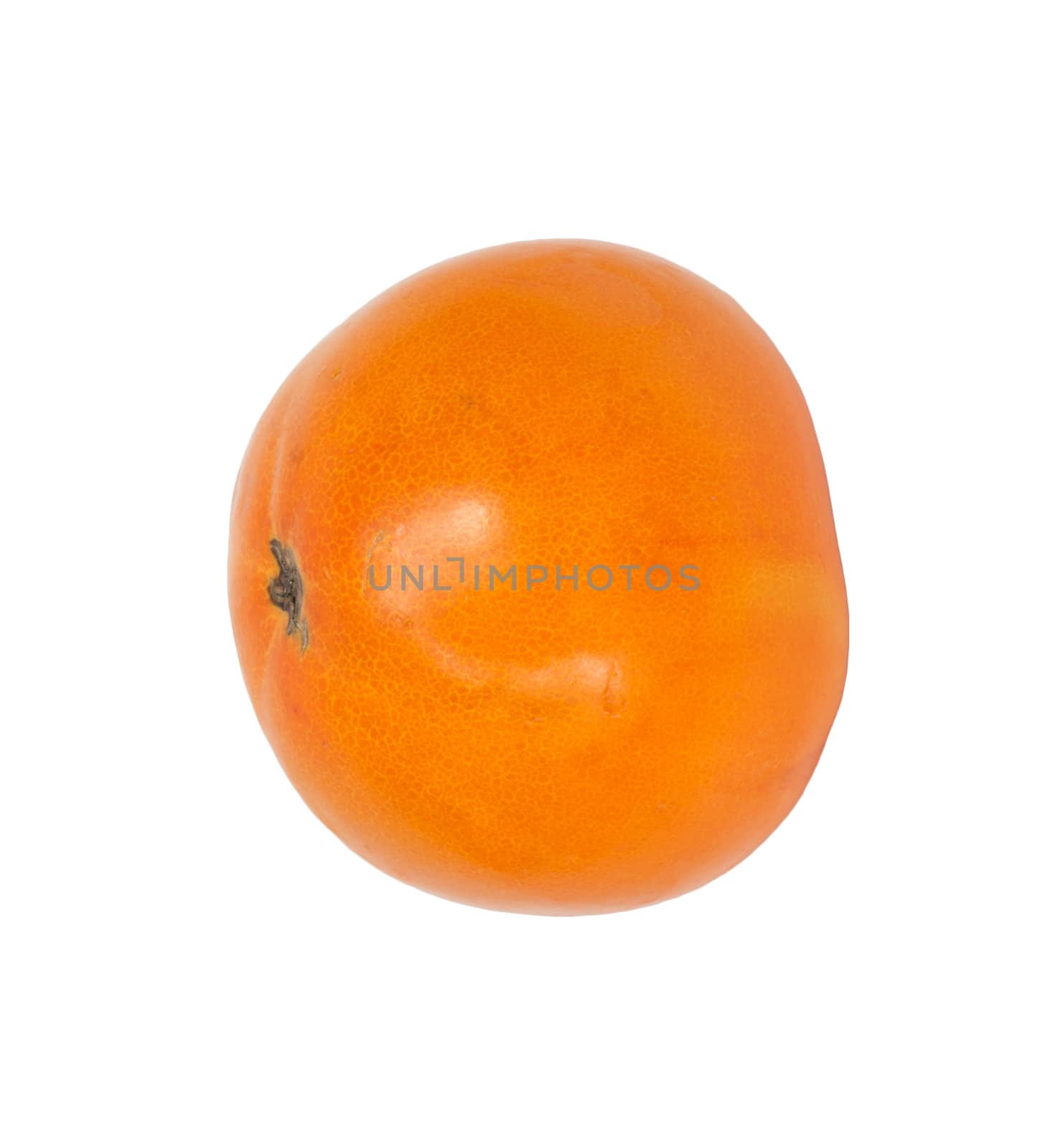 Persimmon Isolated on White Background 