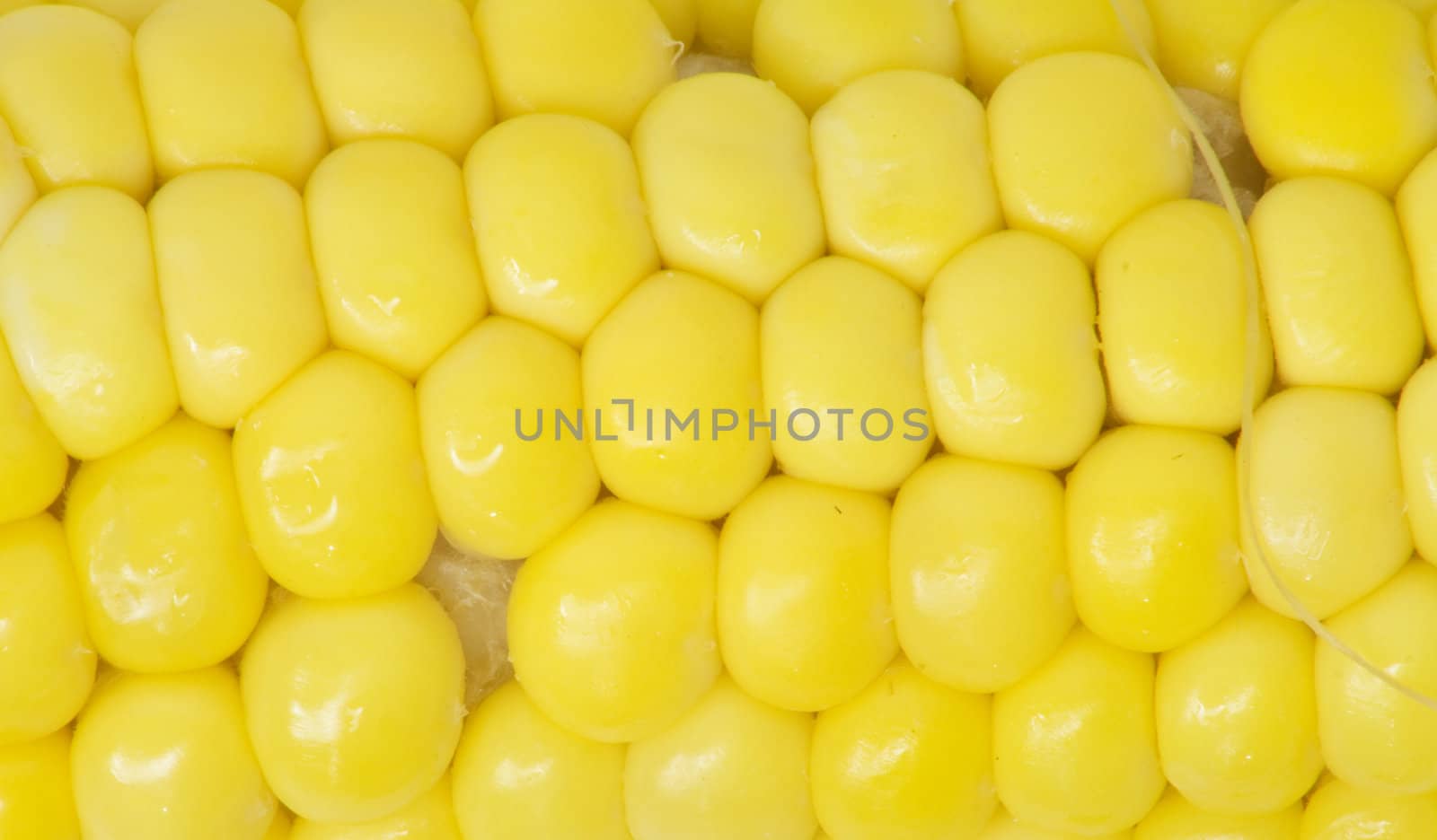 corn . macro