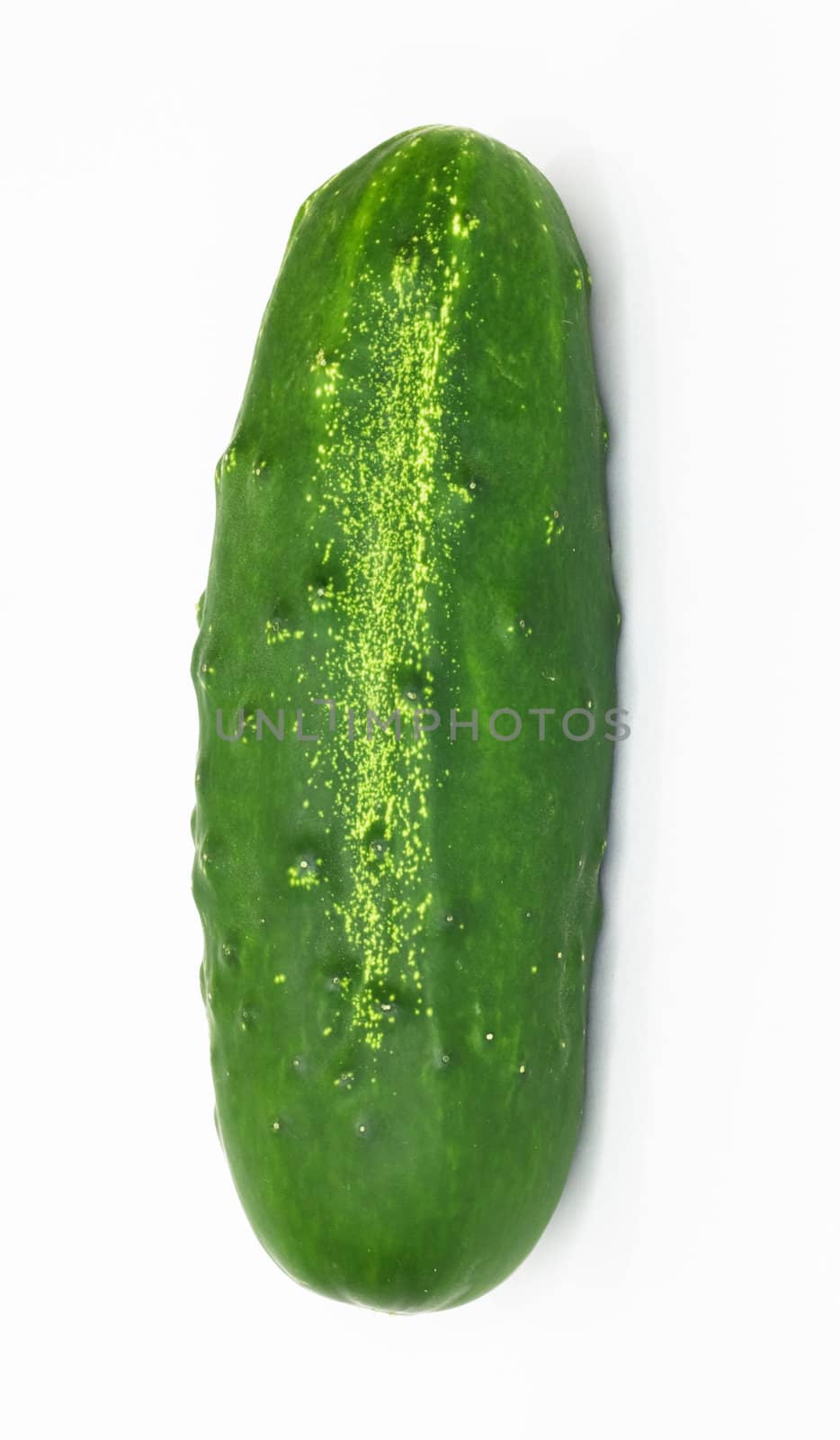 Cucumber isolated on white background. 