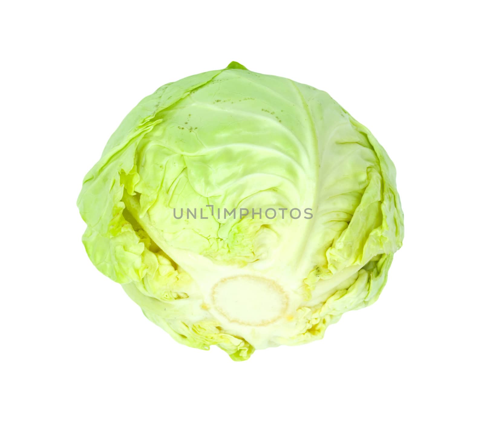 Green cabbage isolated on white background. 