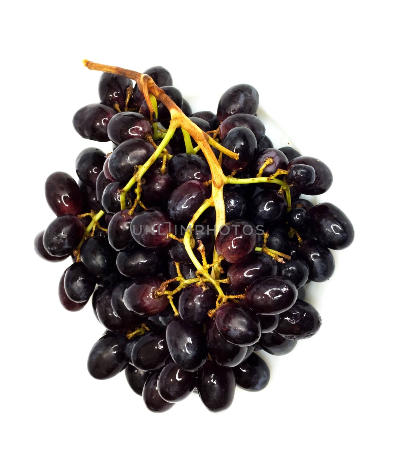 Bunch of black grapes isolated on white background 