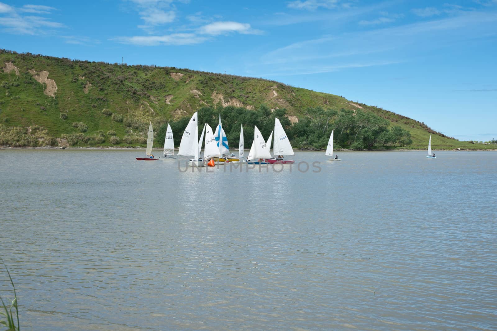Fleet of small yachts rounding buoy in a race at the Wairoa Yacht Club, New Zealand.







A fleet of small yachts round the buoy in a race at the Wairoa Yacht Club, New Zealand.