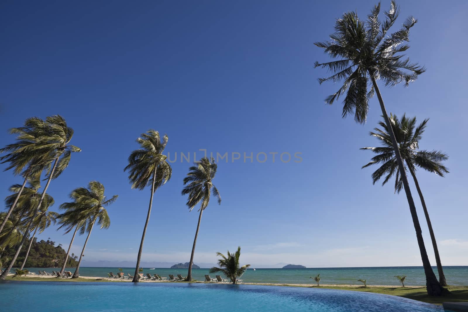 Beautiful swimming pool next to a  beach in thailand. Ko phi phi island.
