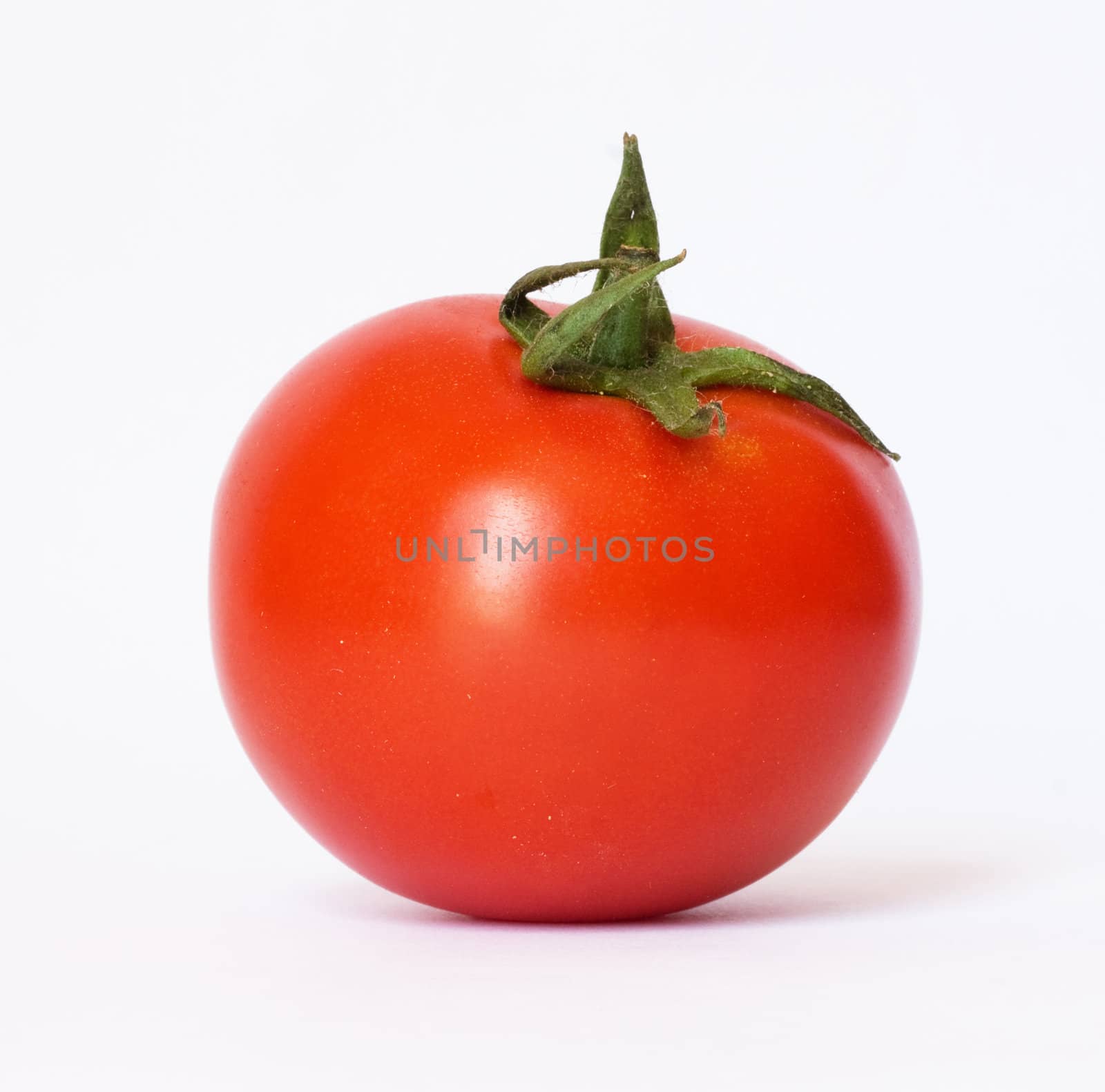 closeup of one red tomato on white background 