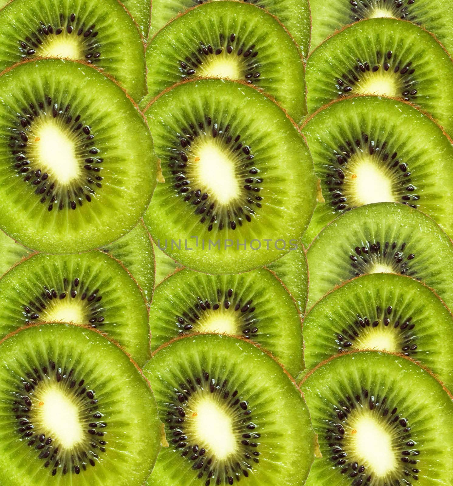 kiwi background