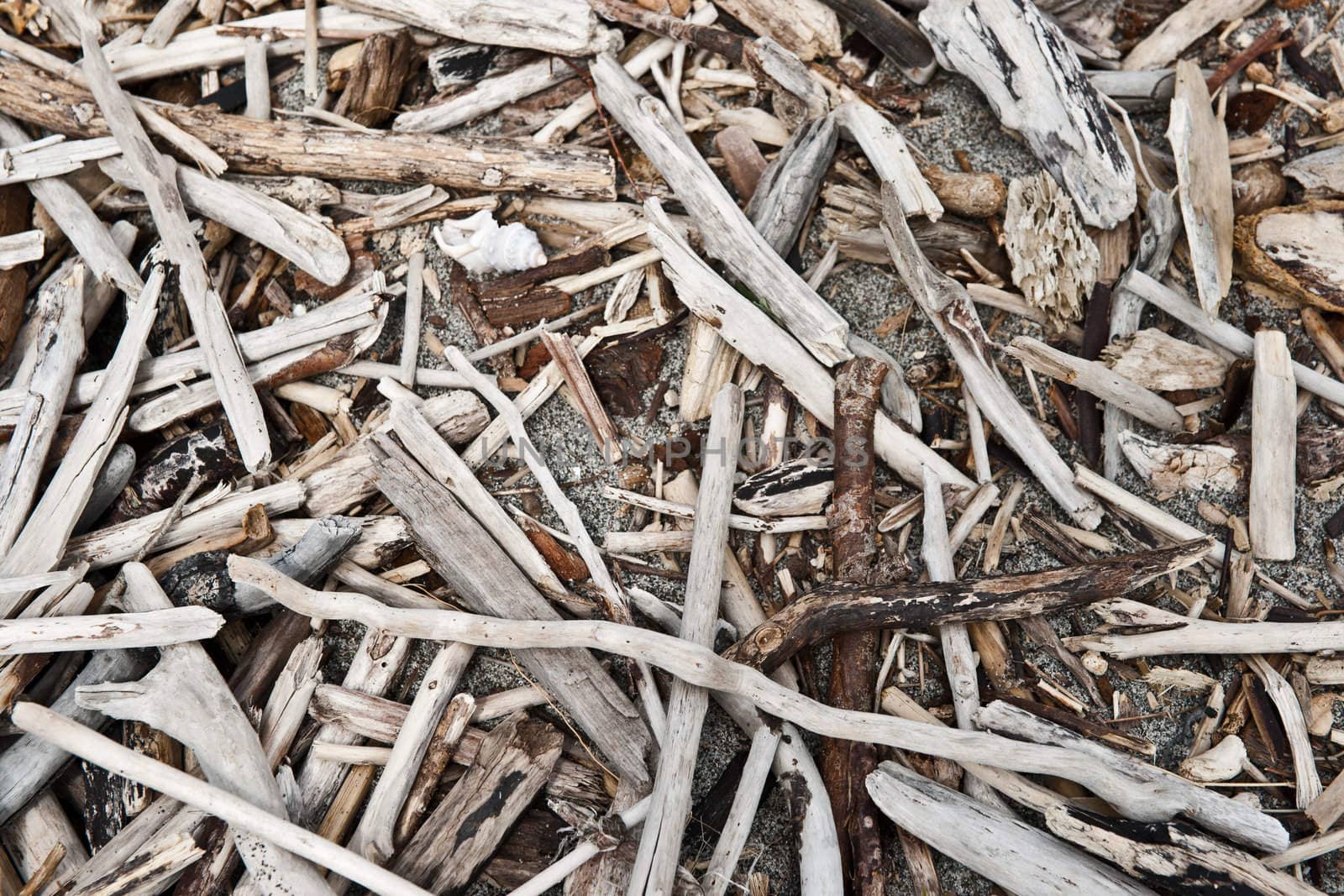 Driftwood sticks, colected up in random fashion on the beach.