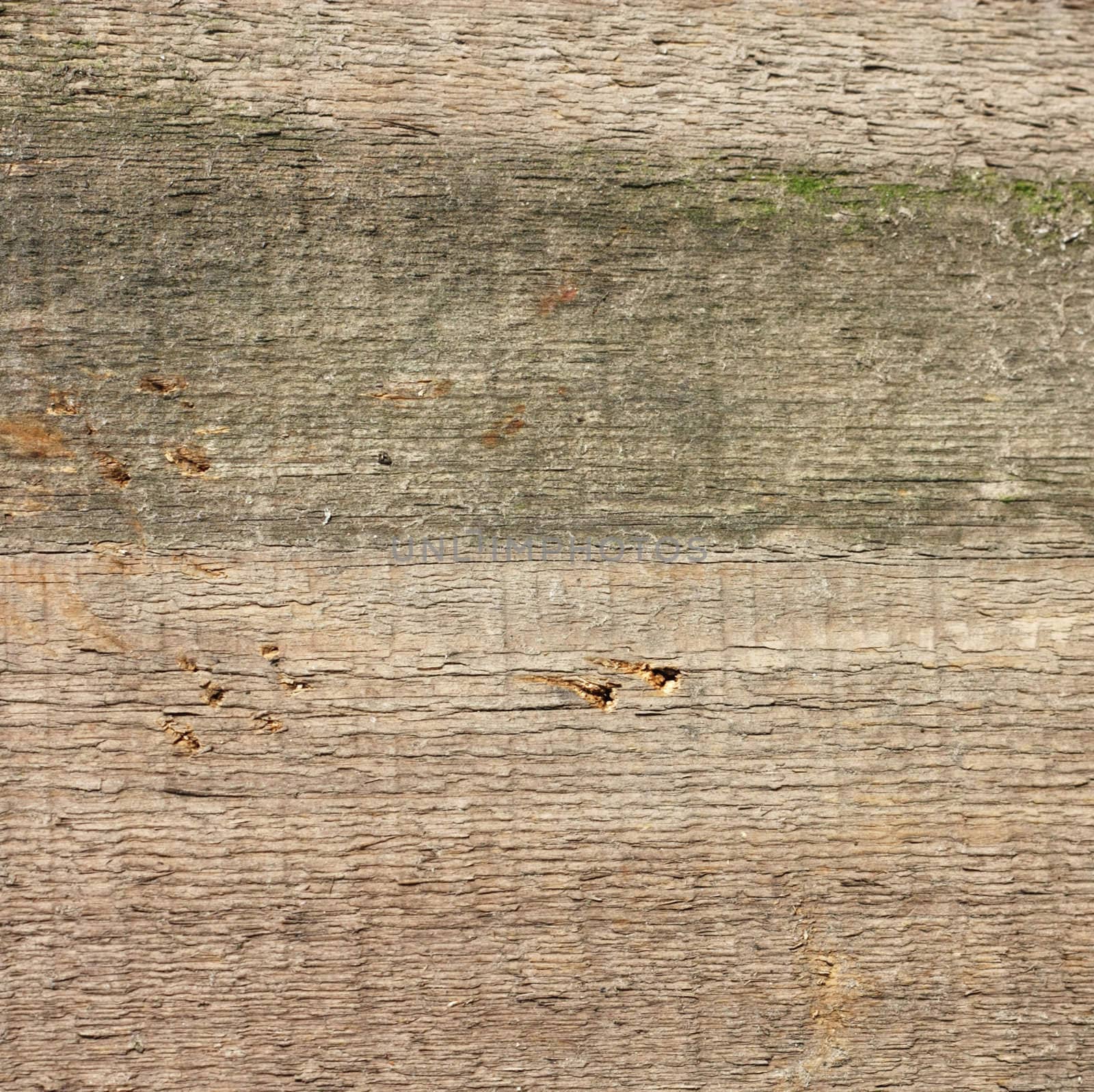 Wooden texture - can be used as a background  by schankz