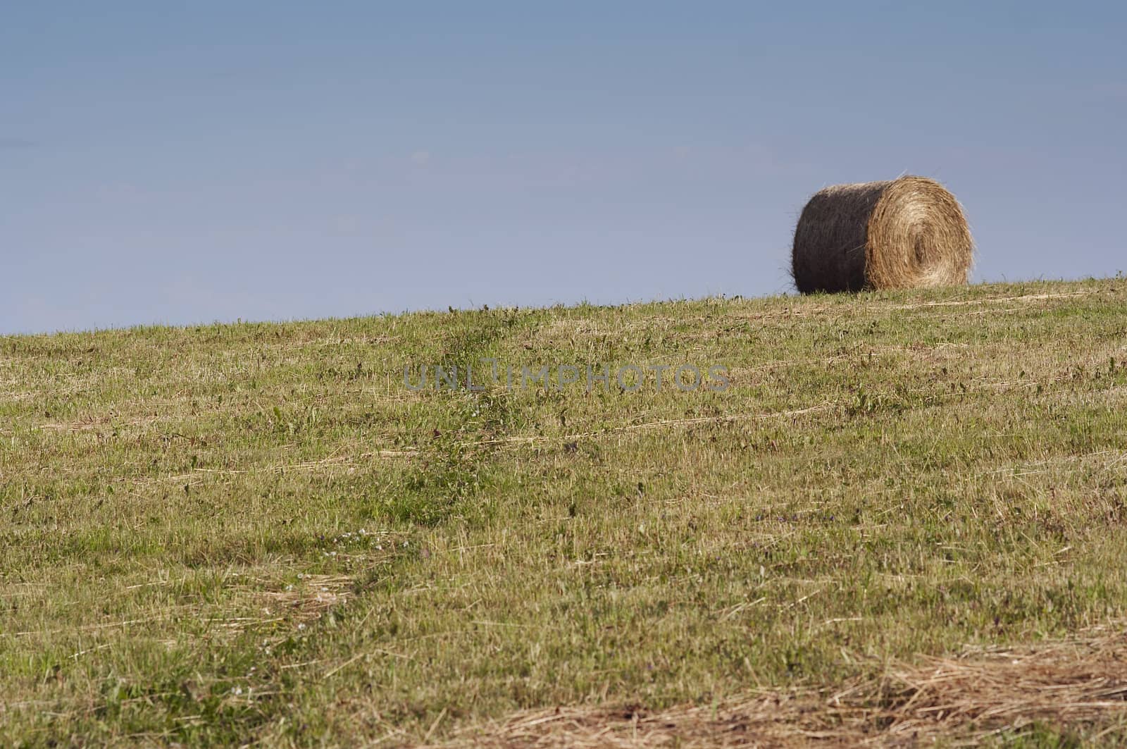 Shot of the landscape - hay-meadow