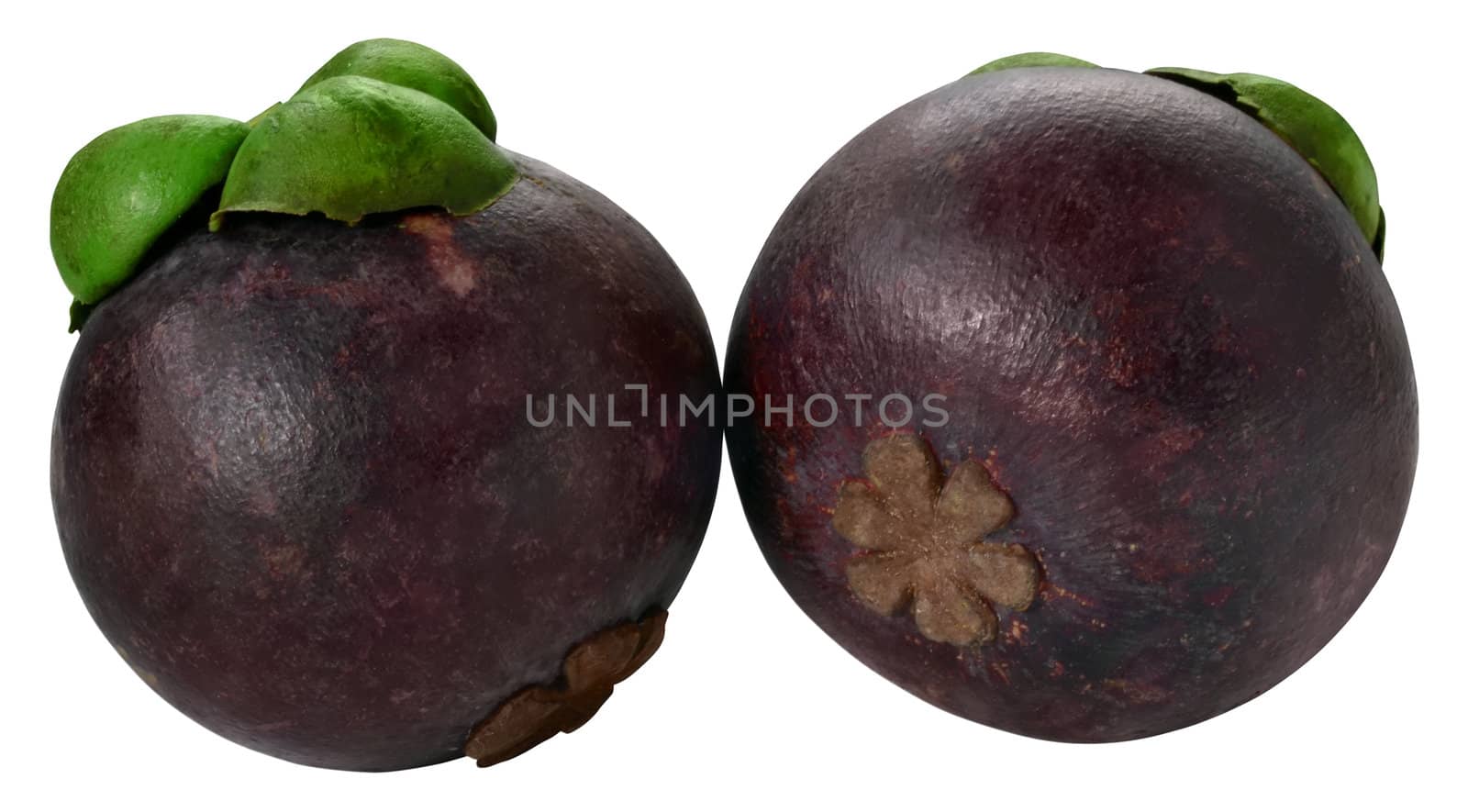 Mangosteen exotic fruits isolated on white background with path.