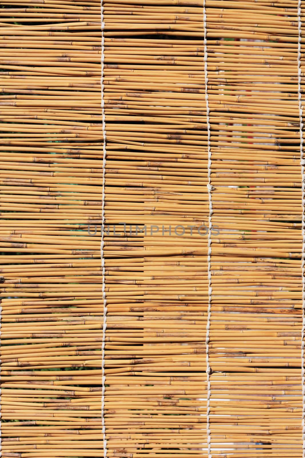 Cane texture 