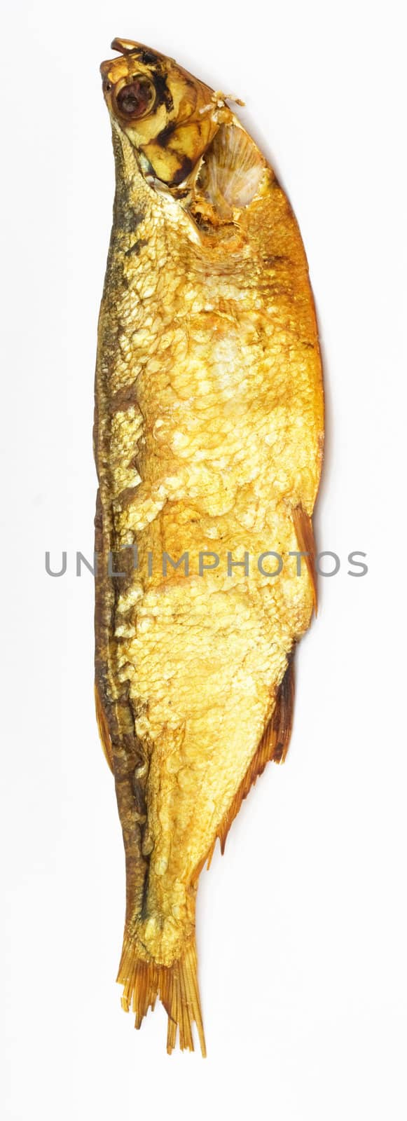 smoked fish isolated on white 