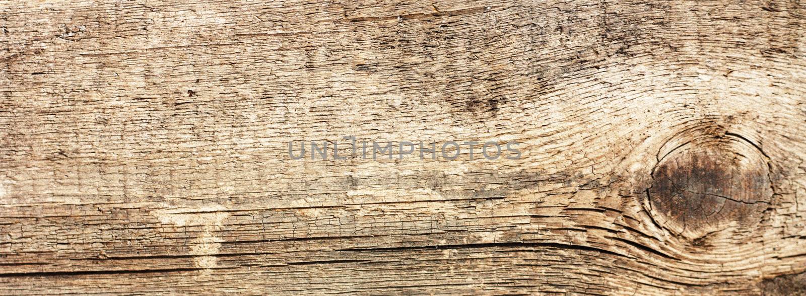 Wooden texture - can be used as a background 