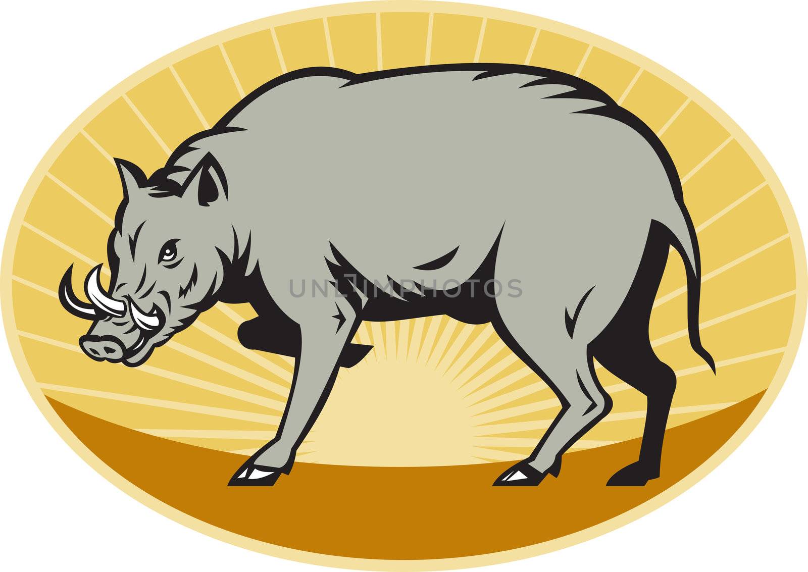 illustration of a babirusa wild pig about to attack set inside ellipse done in retro style with sunburst in background


