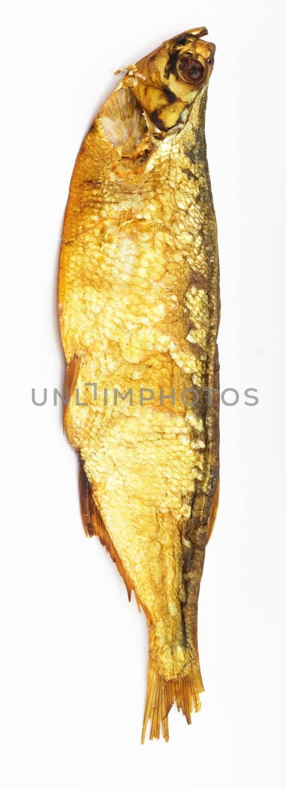 smoked fish isolated on white 