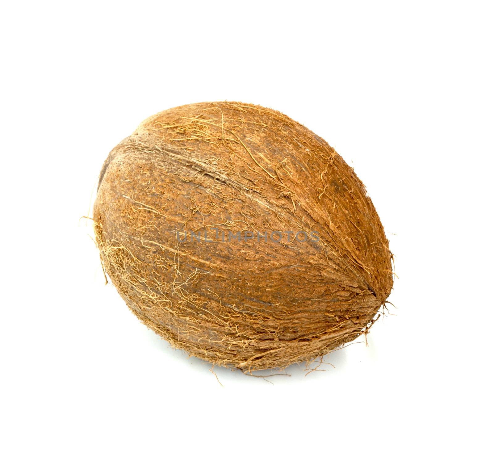 coconut isolated on white background 