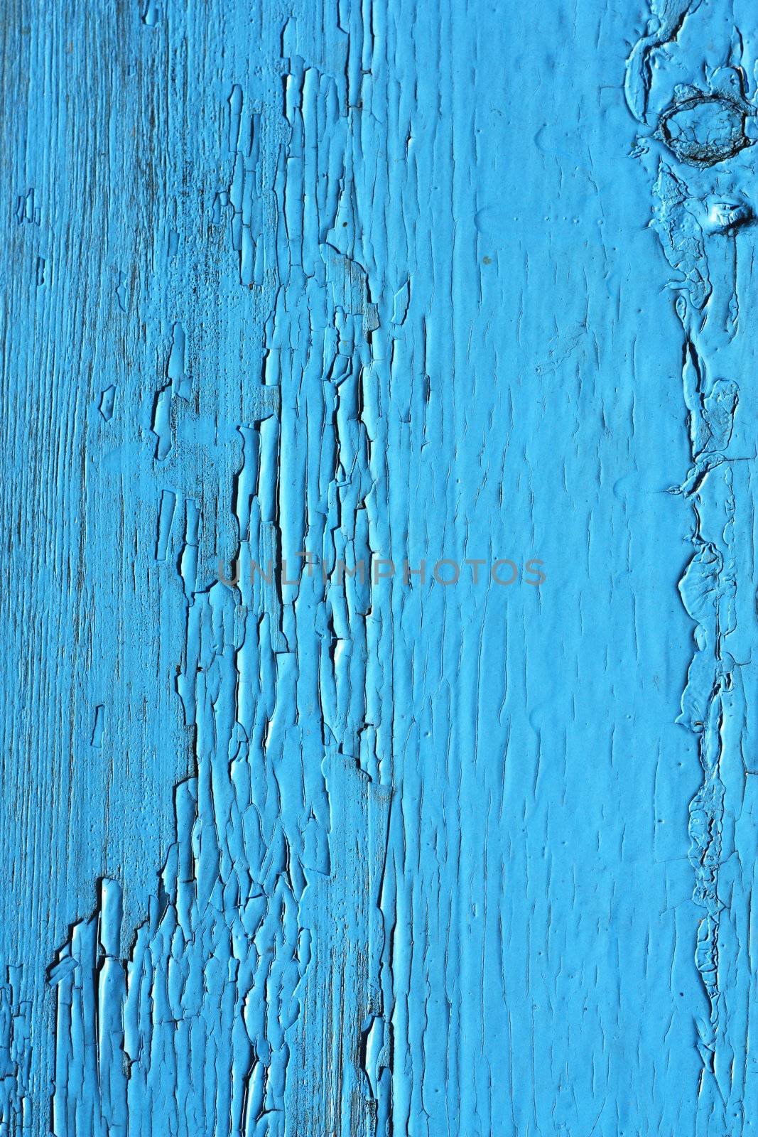 Closing on blue wooden panels of the fence  by schankz