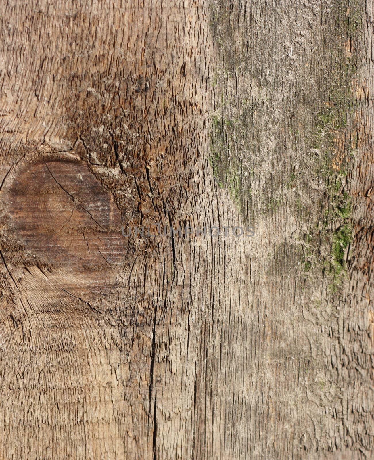 Wooden texture - can be used as a background 