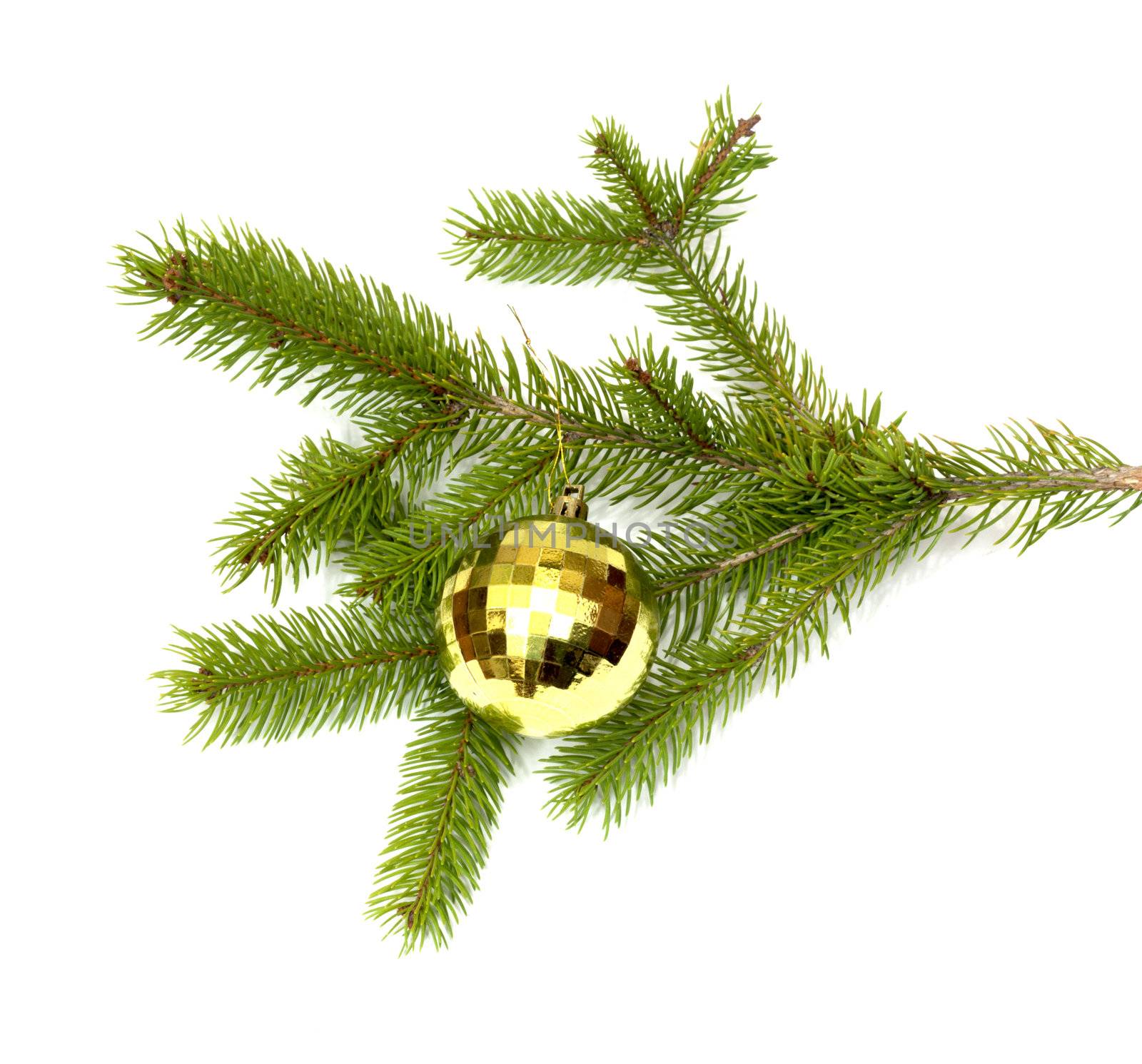 xmas tree ball hanging on a Christmas tree branch, isolated 