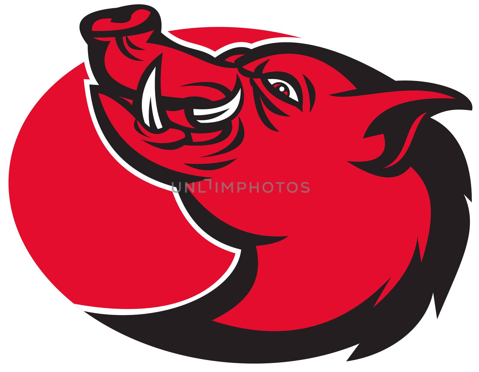 illustration of a razorback wild pig hog boar head with big tusk facing side on isolated white background


