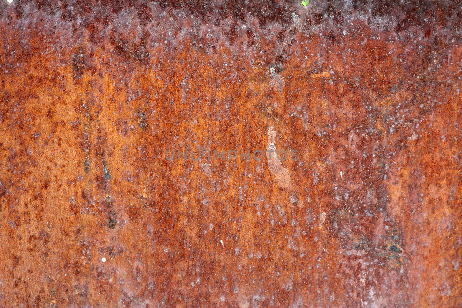 old rusty metallic background  by schankz
