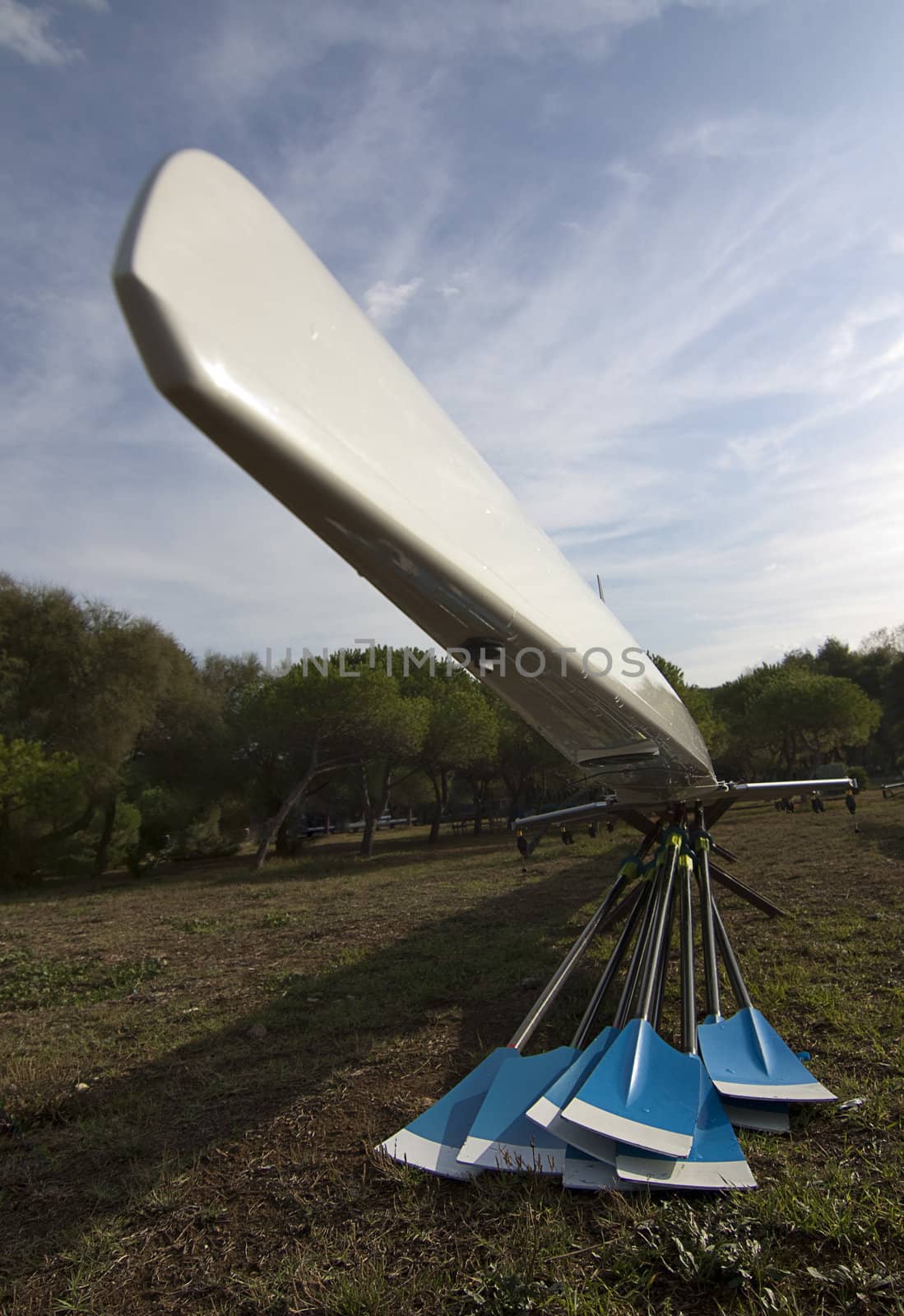 Canoe and Oars.