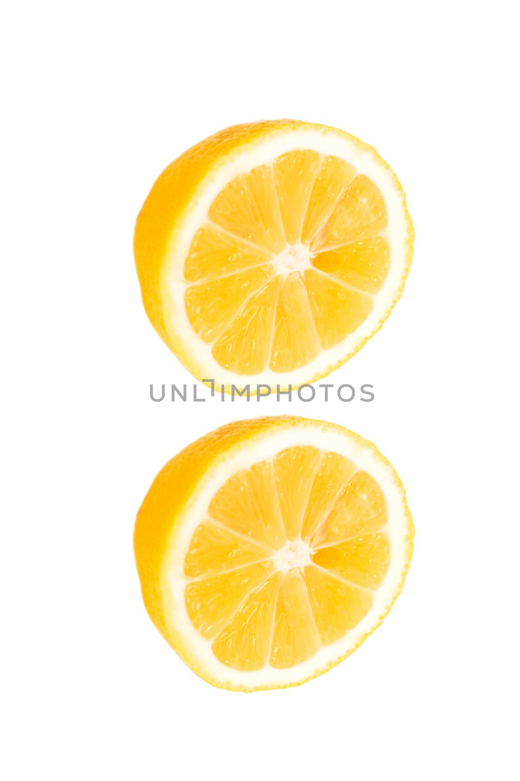  lemon  by schankz