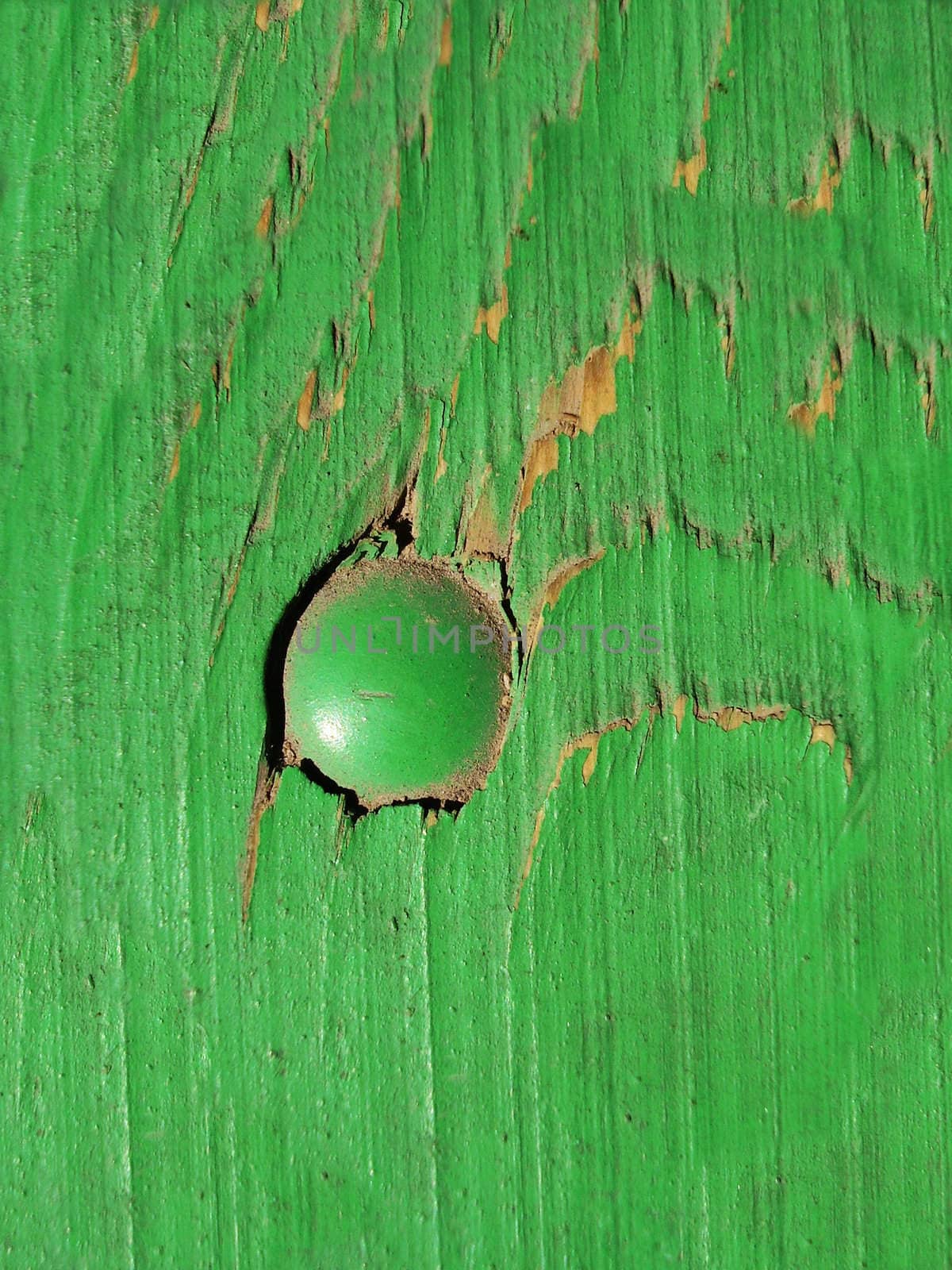 Old Green Wooden Background with One Bolt  