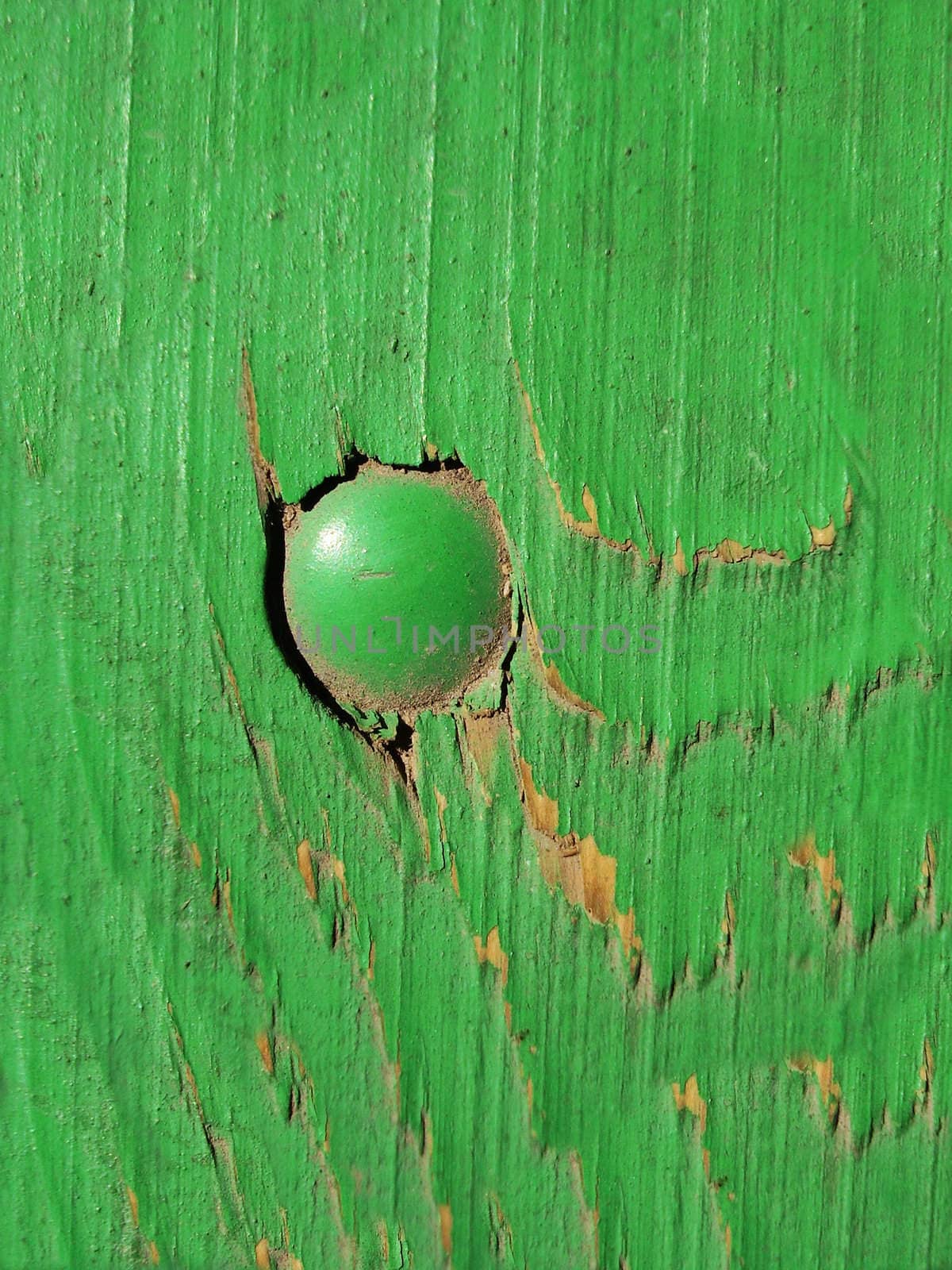 Old Green Wooden Background with One Bolt  