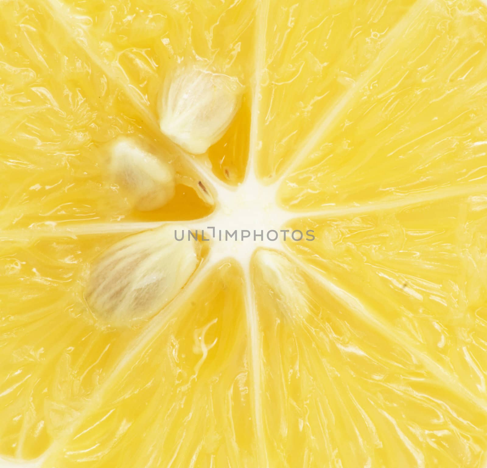 lemon . macro
