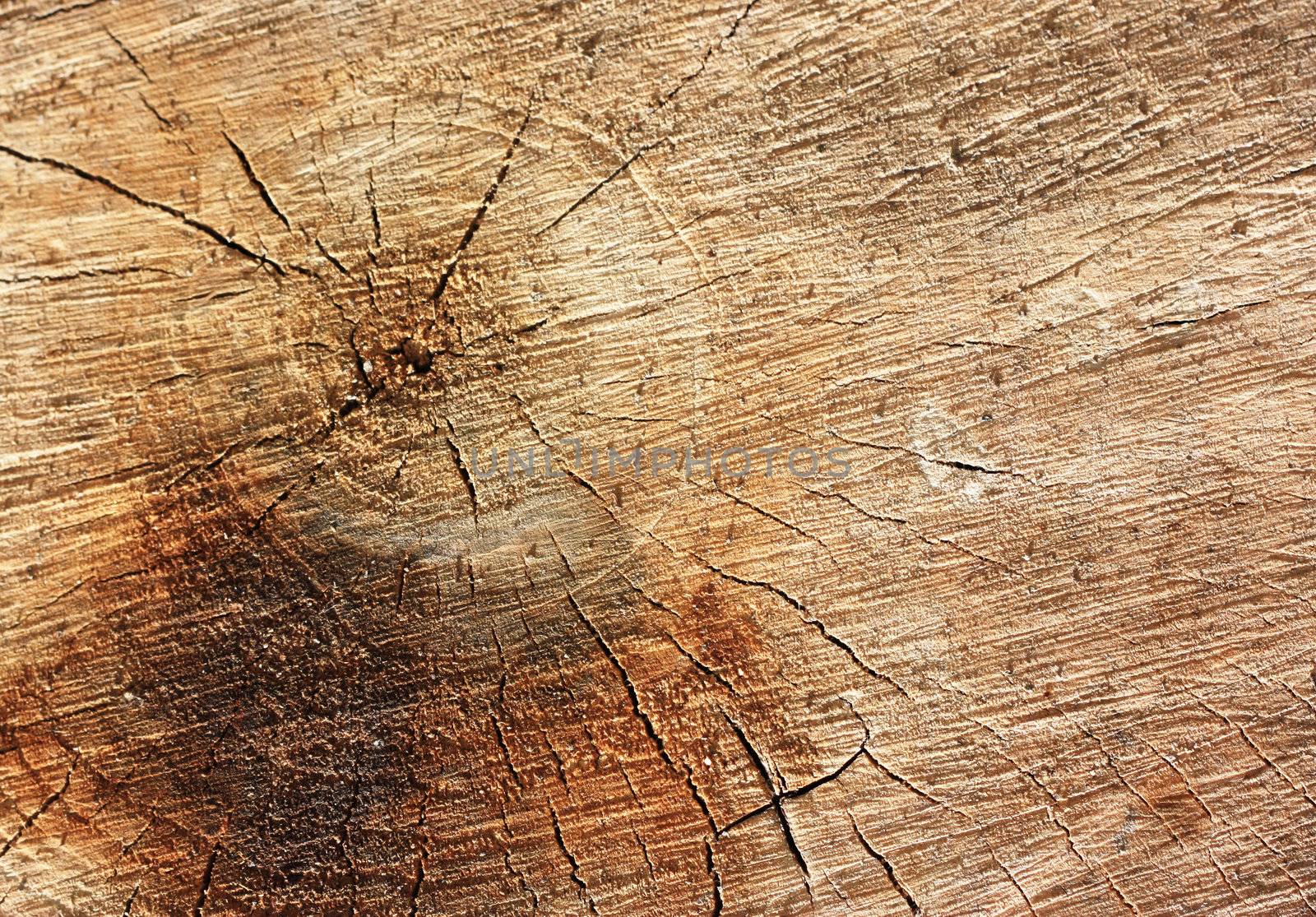 Wooden texture. It is possible to use as a background. 