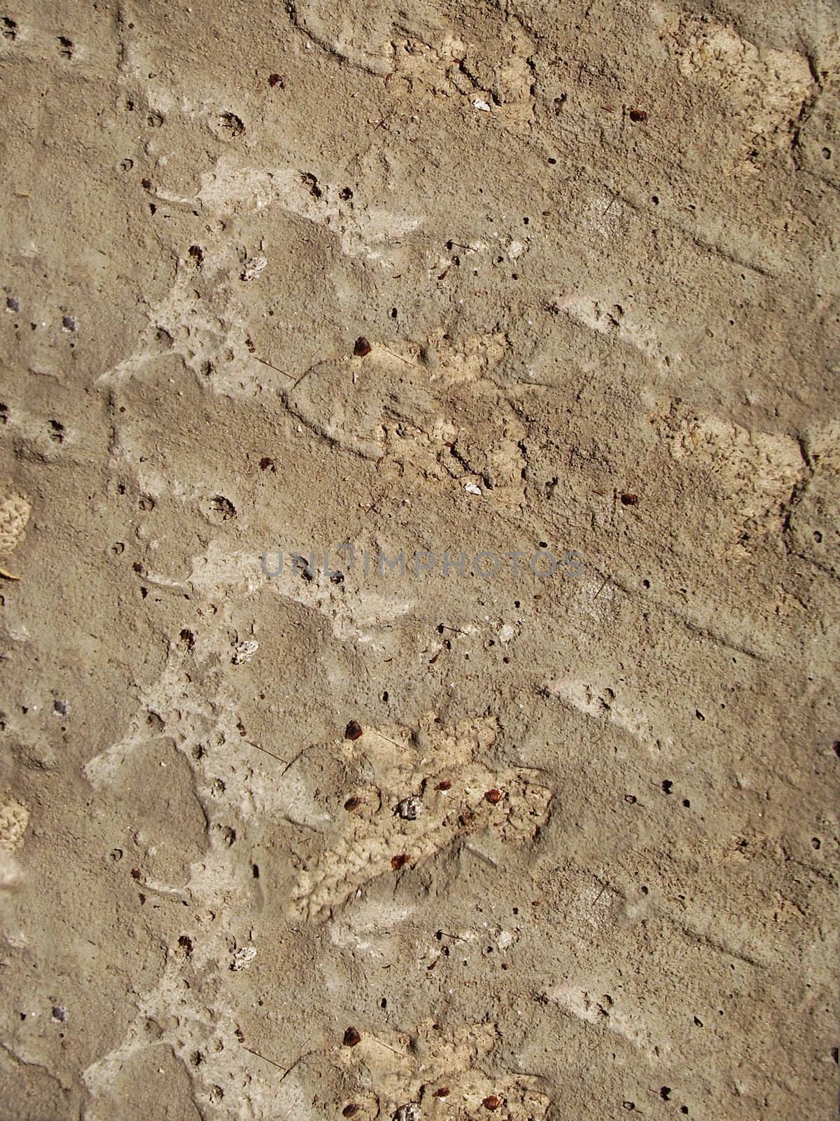 close-up view of concrete background
      