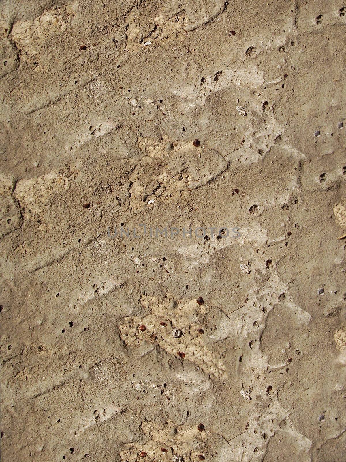 close-up view of concrete background
      