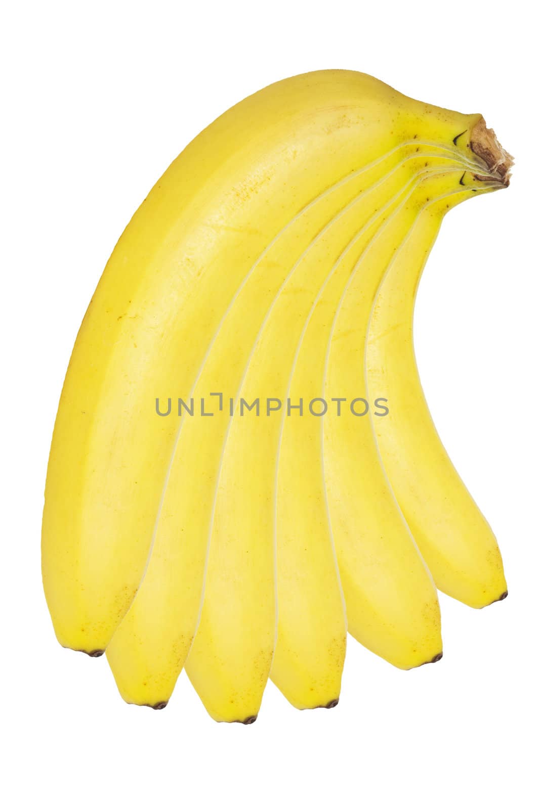 banana bundle  by schankz