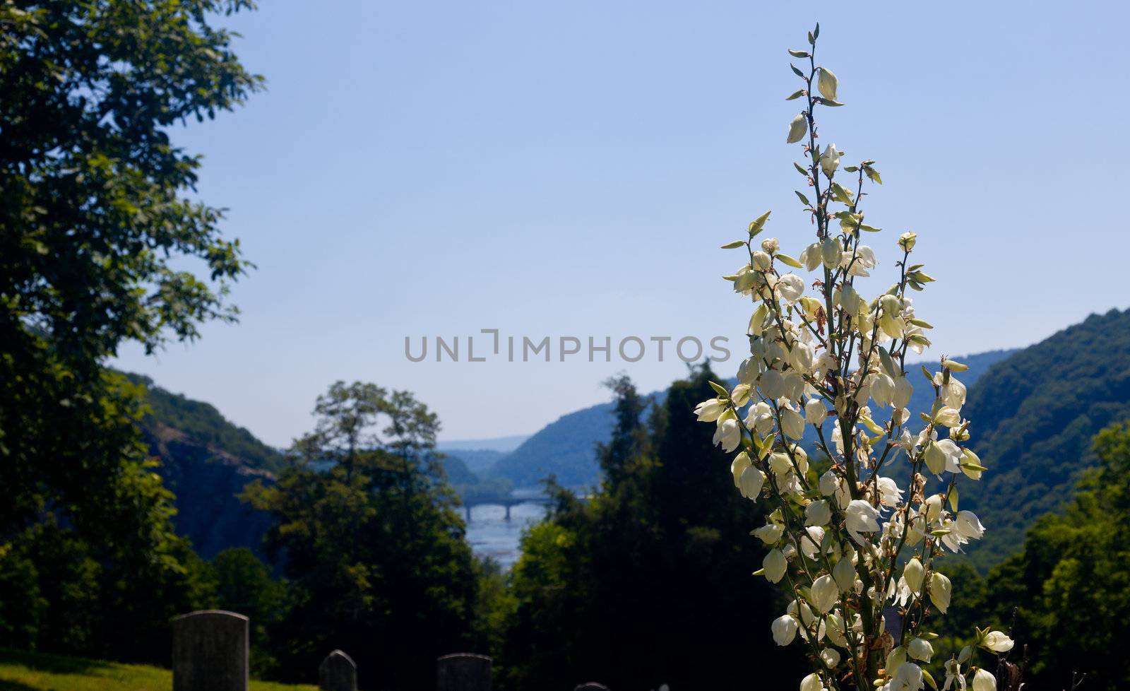 National Park Service owns and operates the historic Civil War town of Harpers Ferry with its old cemetery and flowers framing the river