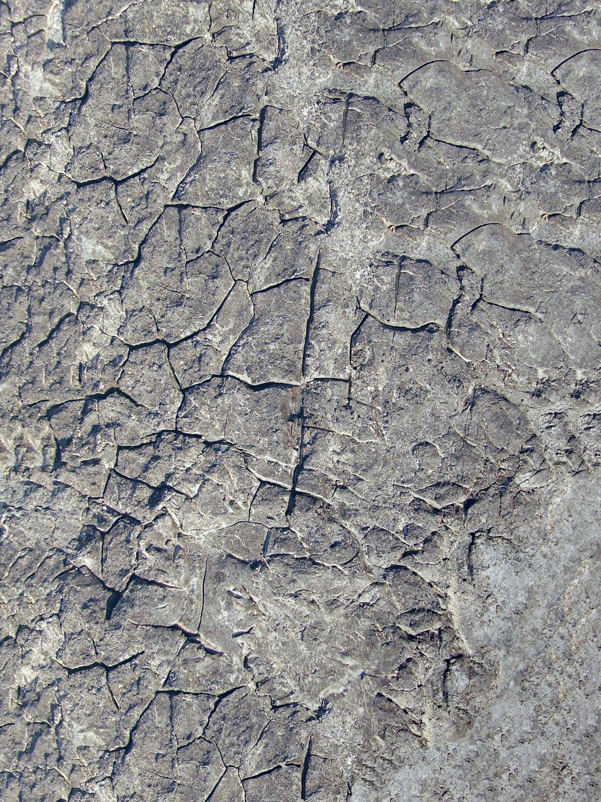 Brown cement plaster as a background           