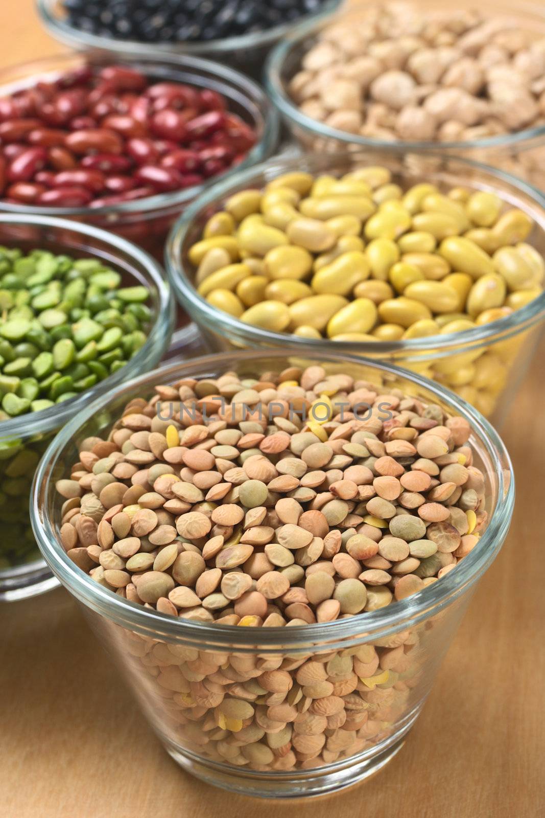 Lentils and other legumes (split peas, canary beans, kidney beans, chickpeas) in glass bowls (Selective Focus, Focus one third into the lentils) 