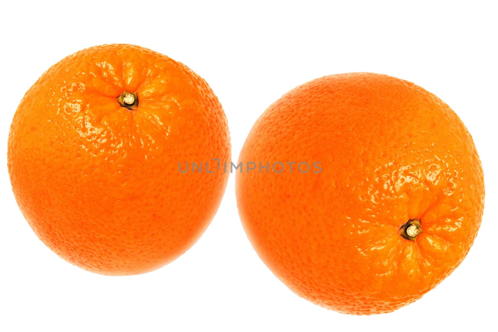 Two oranges were insulated on white background