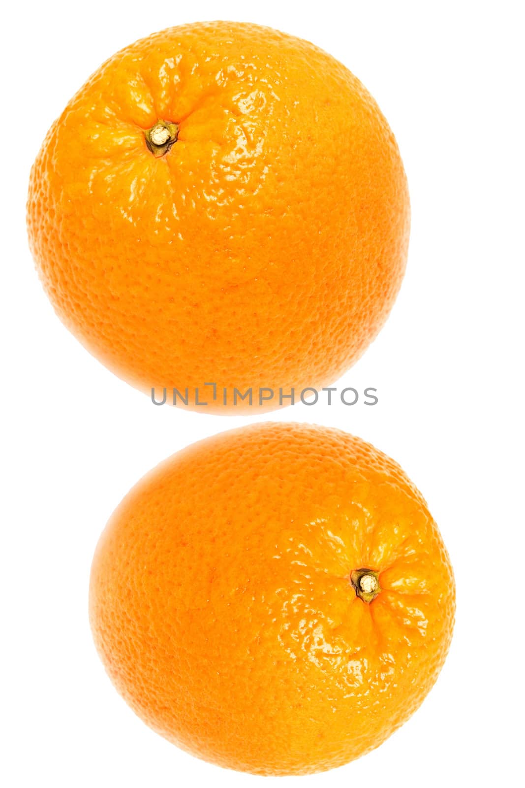 Two oranges were insulated on white background