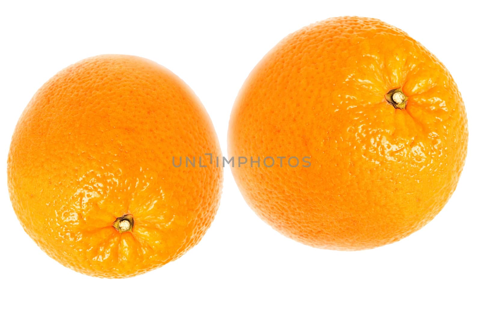 Two oranges were insulated on white background