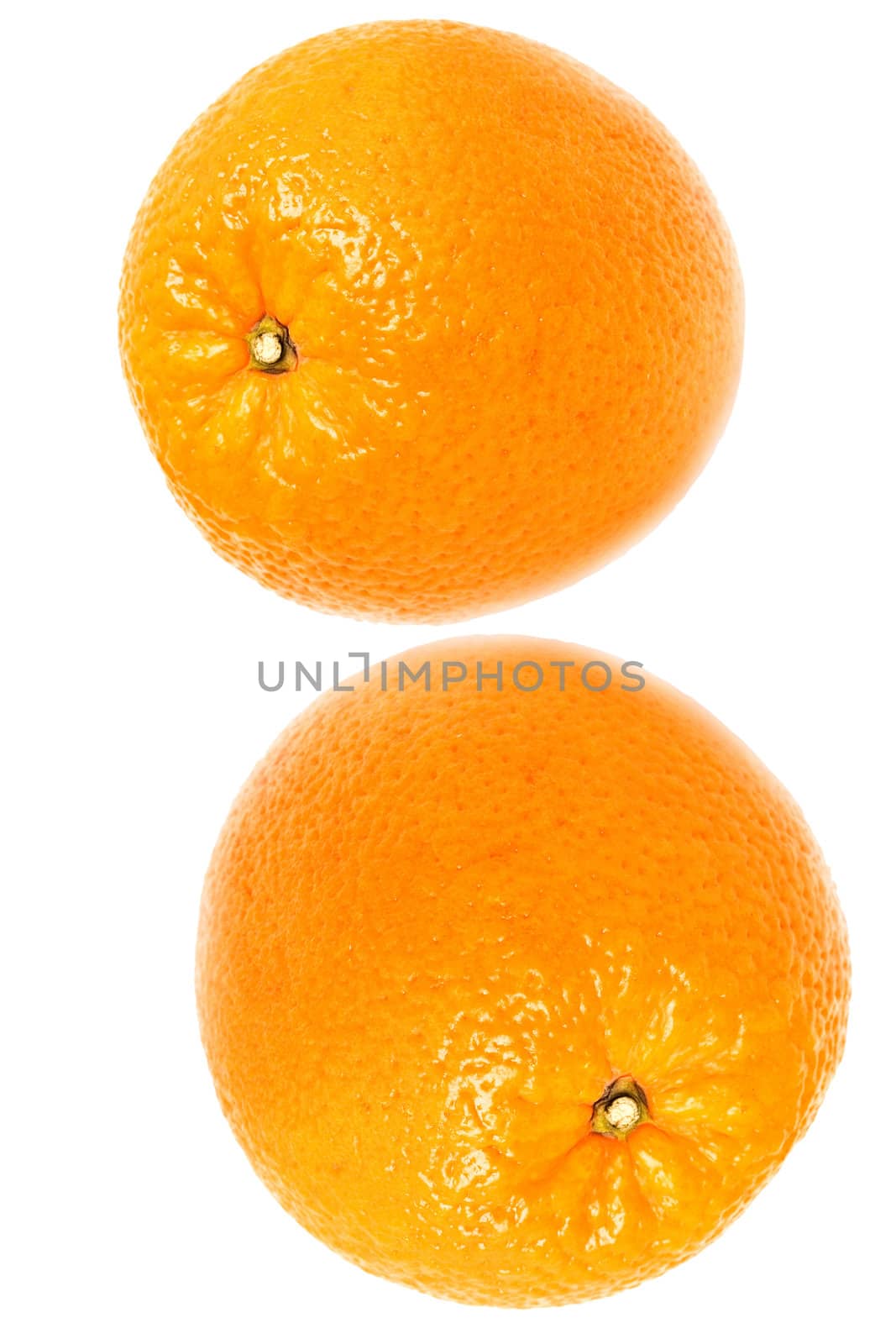 Two oranges were insulated on white background
