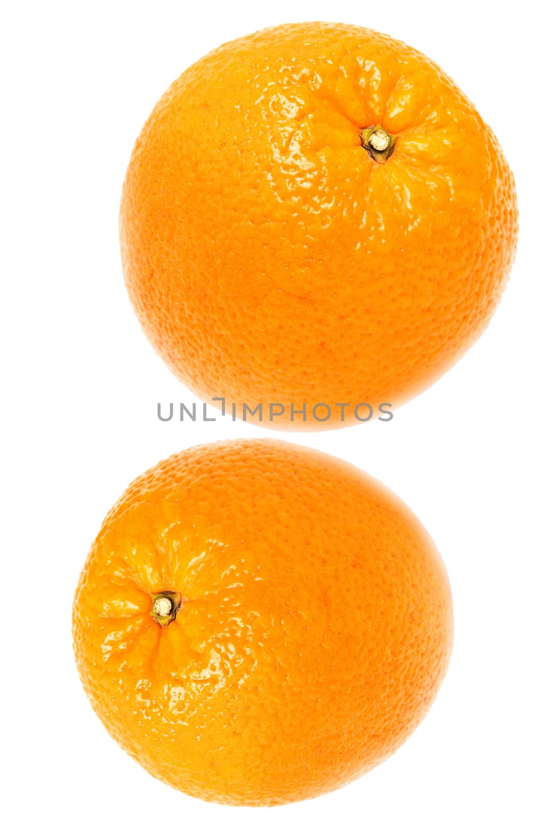 Two oranges were insulated on white background