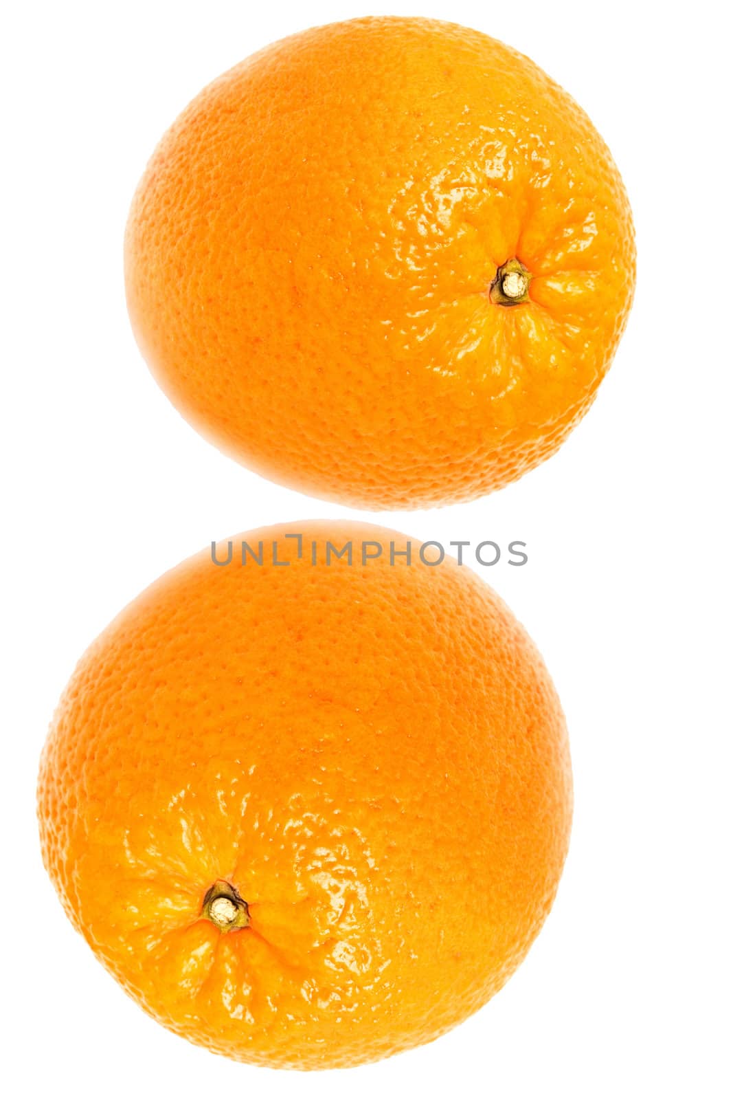 Two oranges were insulated on white background
