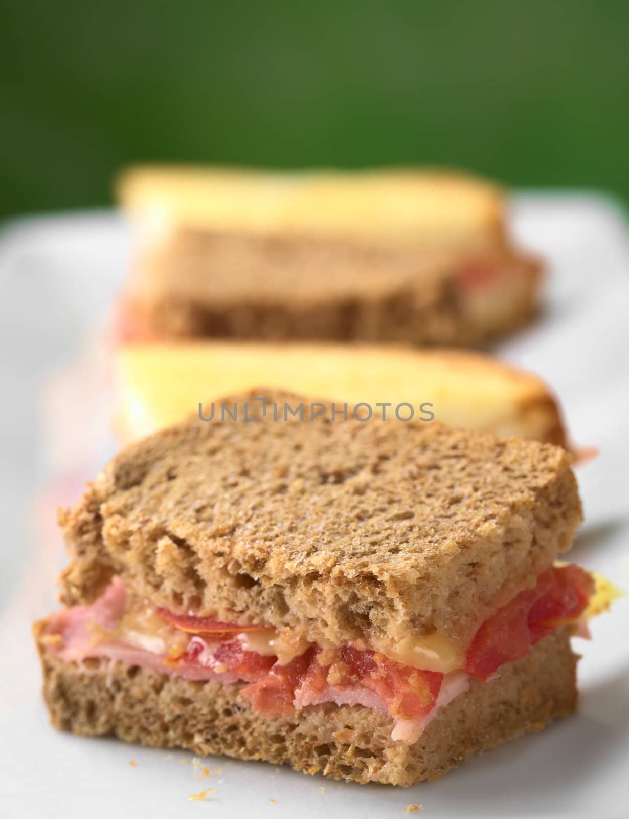 Croque Monsieur. Baked wholewheat and white toast bread canapes filled with ham, tomato and cheese served on a long plate (Selective Focus, Focus on the right edge of the first canape)