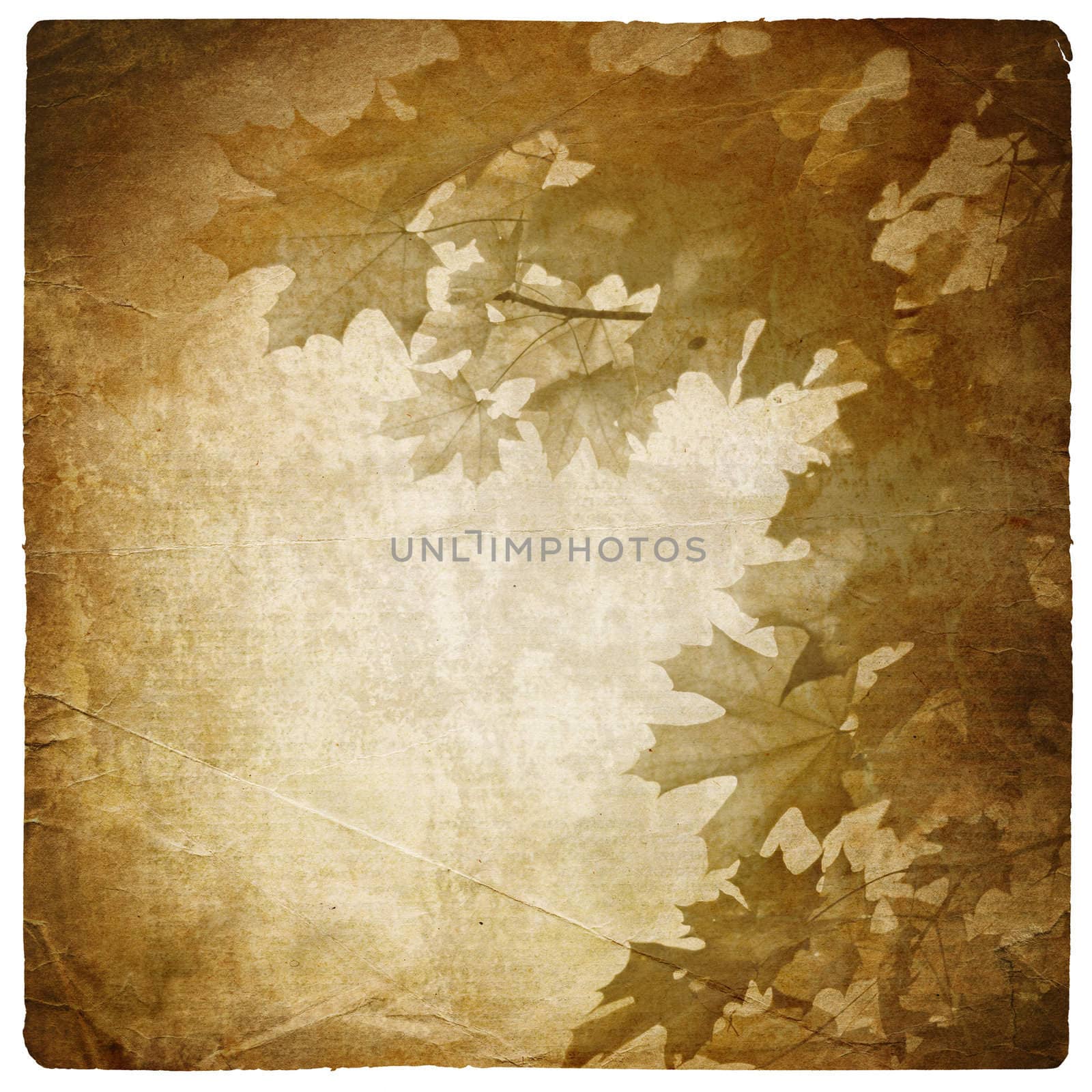 Vintage maple leaves background by pashabo