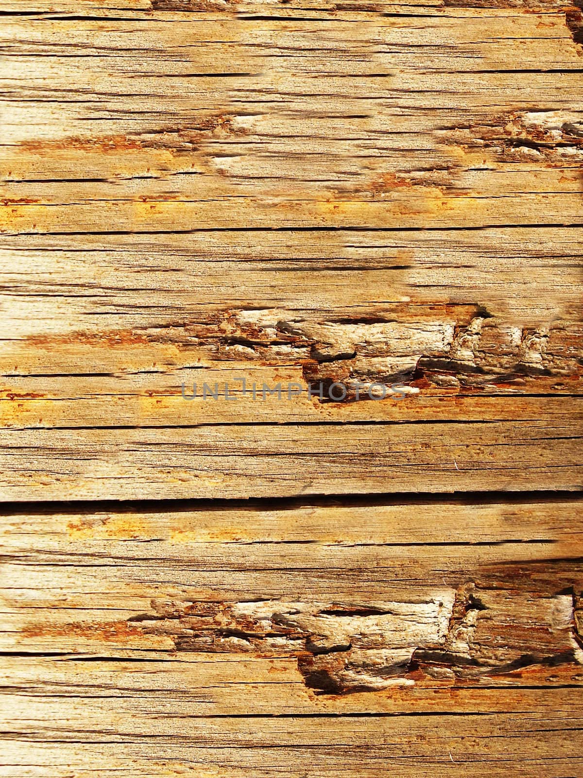 High resolution natural wood grain texture       