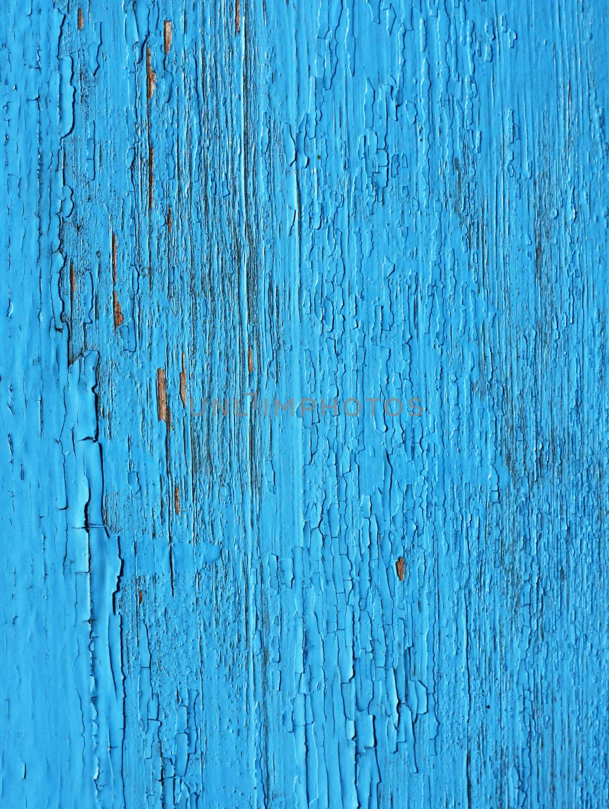 Closing on blue wooden panels of the fence  by schankz