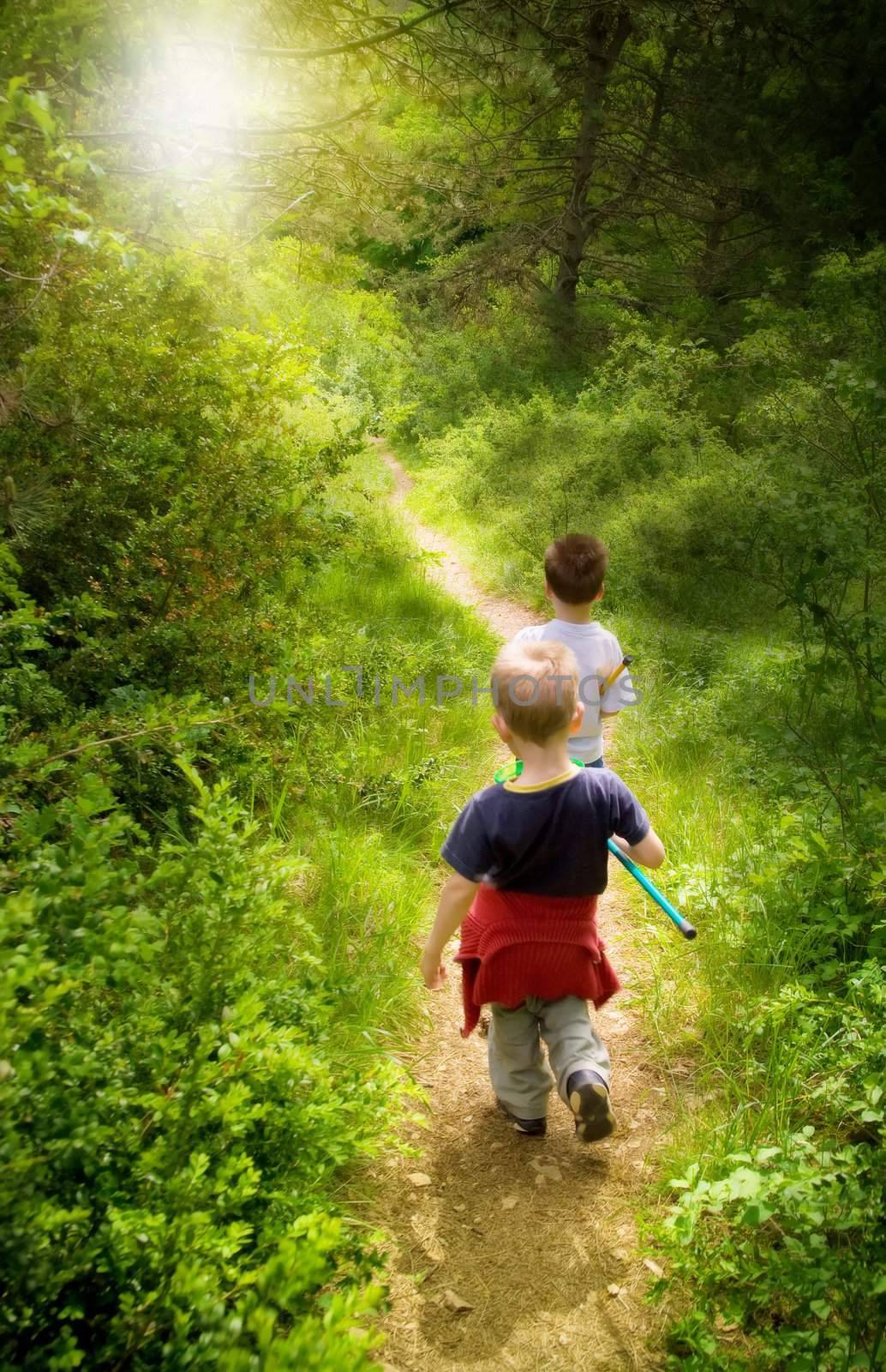 Two young children walking in forest
