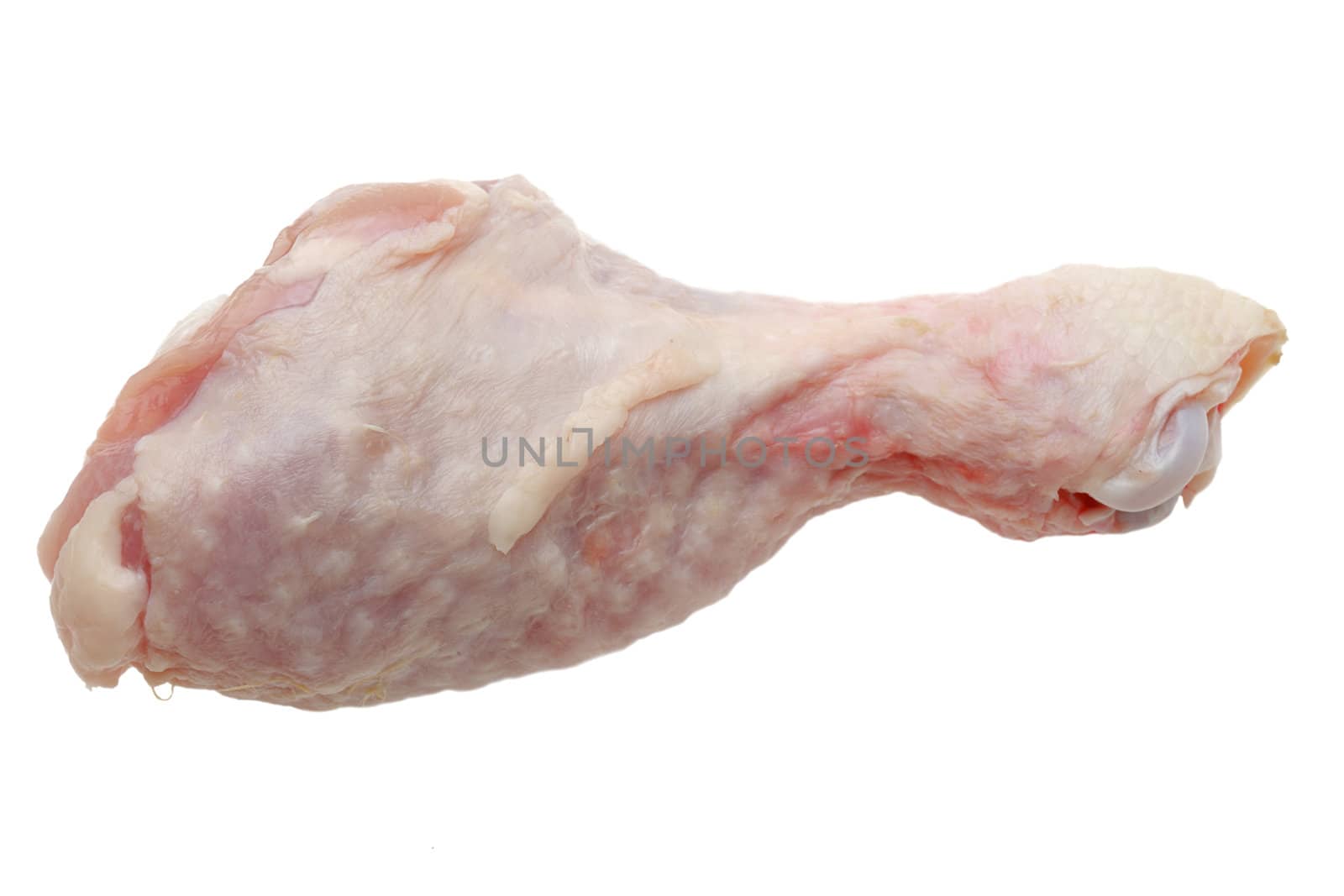 Image of a raw drumstick isolated against a white background.